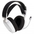 SteelSeries Arctis 7 Gaming Headset (2019 Edition) - White
