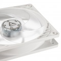 Arctic P12 PWM PST fan, white / transparent - 120mm