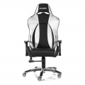 AKRACING Premium Gaming Chair - Black / Silver