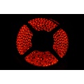 Phobya LED-Flexlight HighDensity 500cm red (600x SMD LED-s)