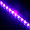 Lamptron Flex Light Standard - 24 LEDs - UV