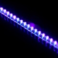 Lamptron Flex Light Standard - 60 LEDs - UV